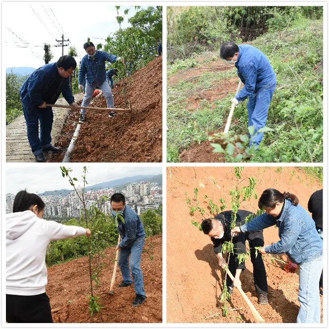 1586500658914984.jpg 植樹1.jpg